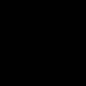 Meet your Posher, Allie